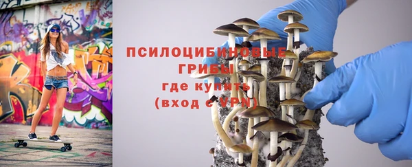 шишки Алексин