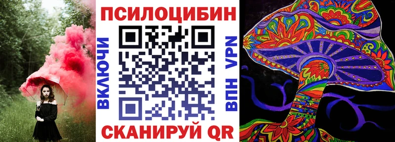 купить  сайты  Себеж  mega ссылки  Галлюциногенные грибы Psilocybe 